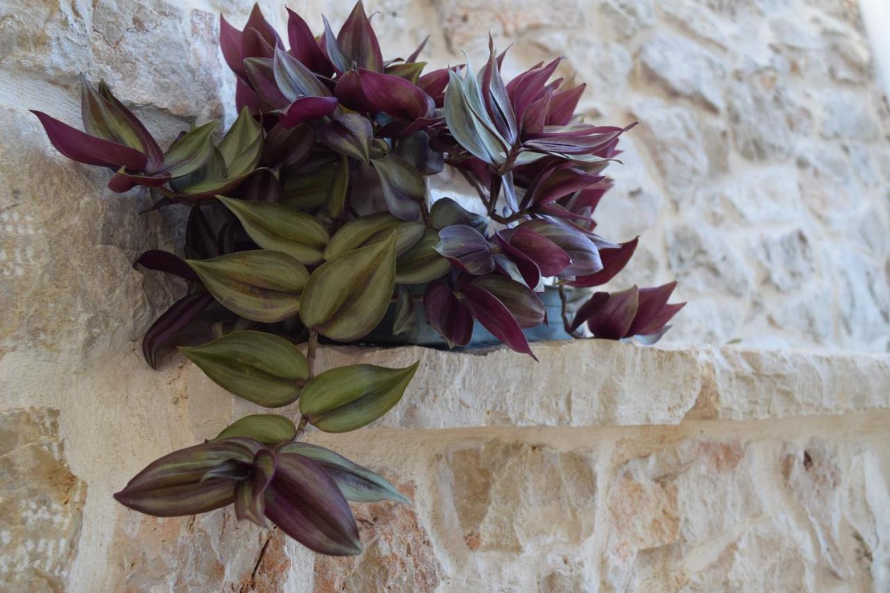Dimore Storiche - Ulivo Di Aldo Martina Franca Exterior foto