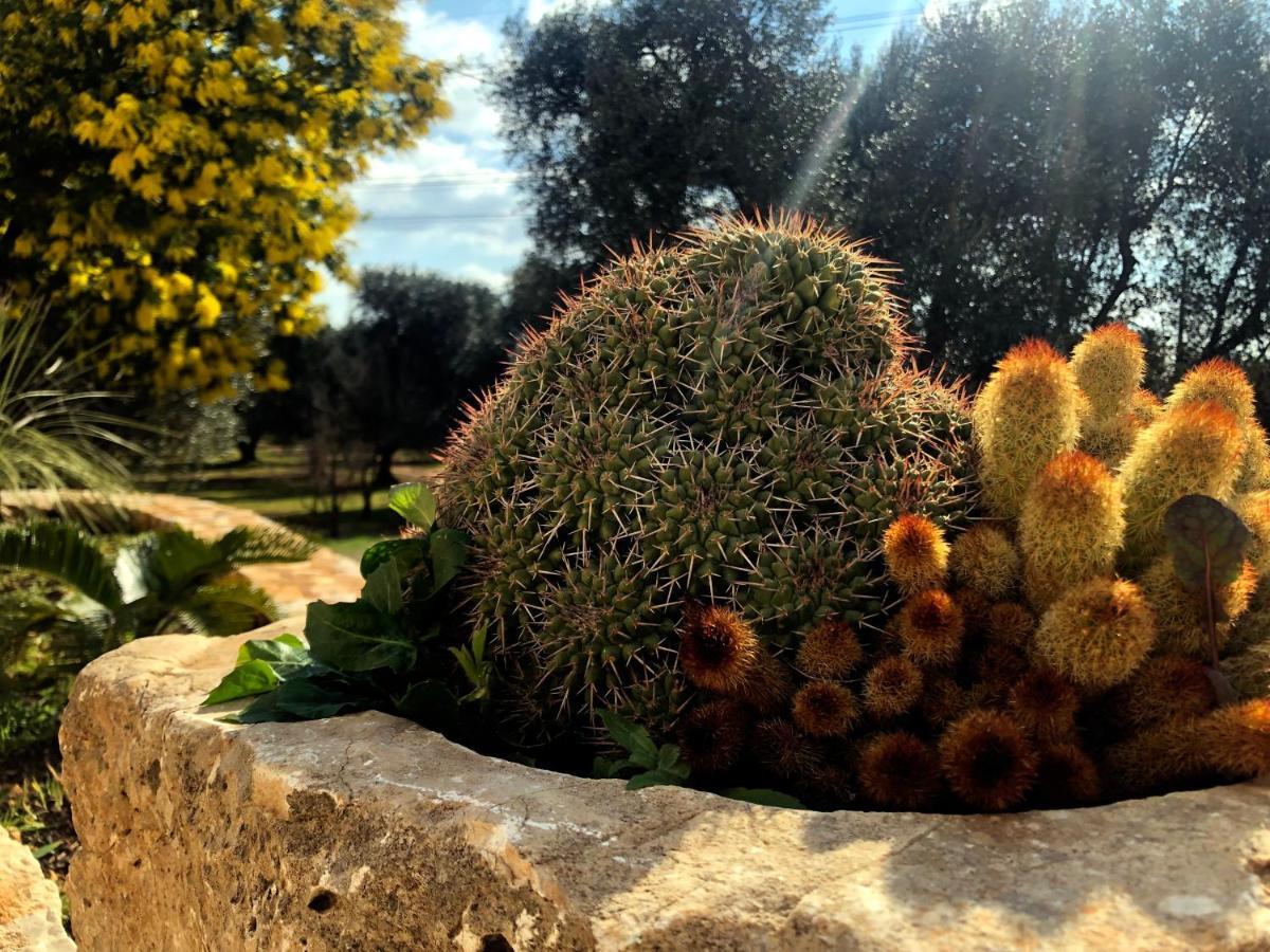 Dimore Storiche - Ulivo Di Aldo Martina Franca Exterior foto